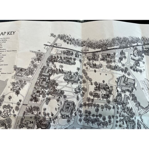 Vintage 1982 Amherst College Drawing By Peter Laird TMNT Fame 18" x 1 - Picture 5 of 9